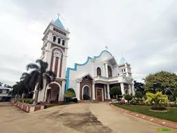 Our Lady of The Snows Parish